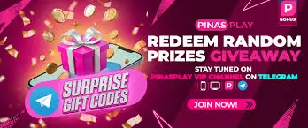 PINASPLAY RANDOM PRIZE
