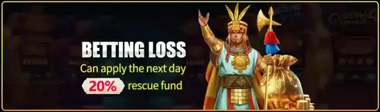 SHEWIN RESCUE FUND