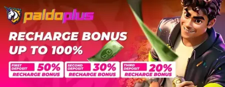 PALDOPLUS